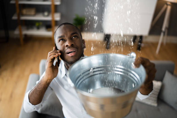 Best Water damage contractors near me  in Mountain Road, VA