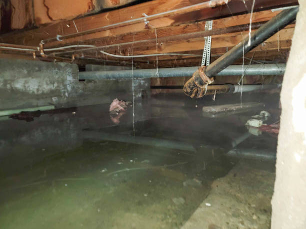 Trusted Mountain Road, VA Water damage restoration Experts