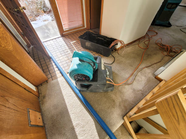 Best 24/7 water damage repair  in Mountain Road, VA