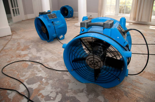 Best Basement water damage restoration  in Mountain Road, VA