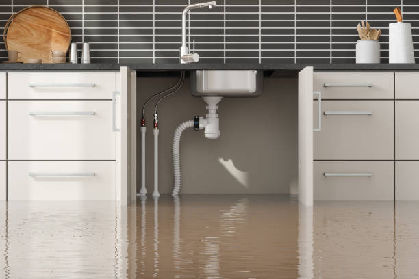 Best Water damage restoration near me  in Mountain Road, VA