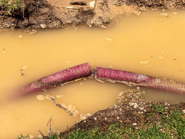 Best Emergency water damage restoration  in Mountain Road, VA