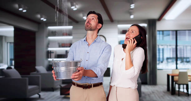 Best Residential water damage restoration  in Mountain Road, VA