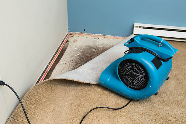 Best Water damage restoration experts  in Mountain Road, VA